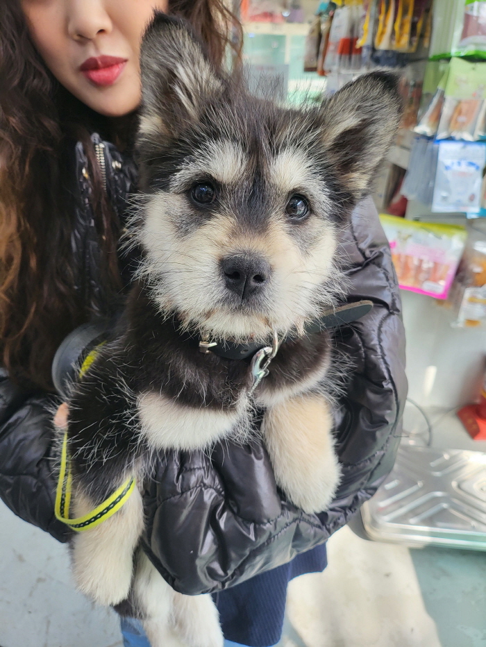 남산동물병원_411302202300089